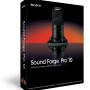 SONY SOUND FORGE PRO 10