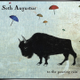 SETH AUGUSTUS + To the Pouring Rain