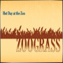 HOT DAY AT THE ZOO + Zoograss