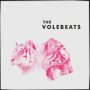 THE VOLEBEATS