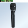 EARTHWORKS SR40V MIC