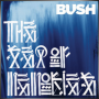 BUSH