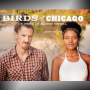 BIRDS OF CHICAGO