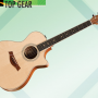 TAYLOR SPRING 2013 LIMITED 400 SERIES