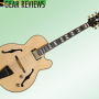 IBANEZ PAT METHENY PM200