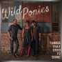 WILD PONIES