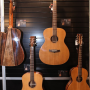 TANGLEWOOD GUITAR COMPANY AT NAMM 2015