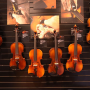ALVAREZ at NAMM 2015